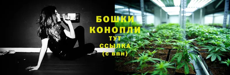 дарнет шоп  Кедровый  Конопля индика 